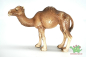 Preview: Schleich  Dromedar Set 14355 + 14356